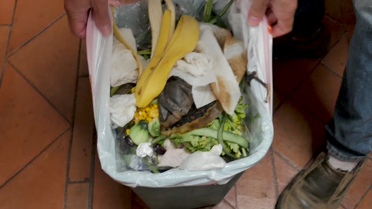 Best Carpet Removal and Disposal  in Mount Hope, WV